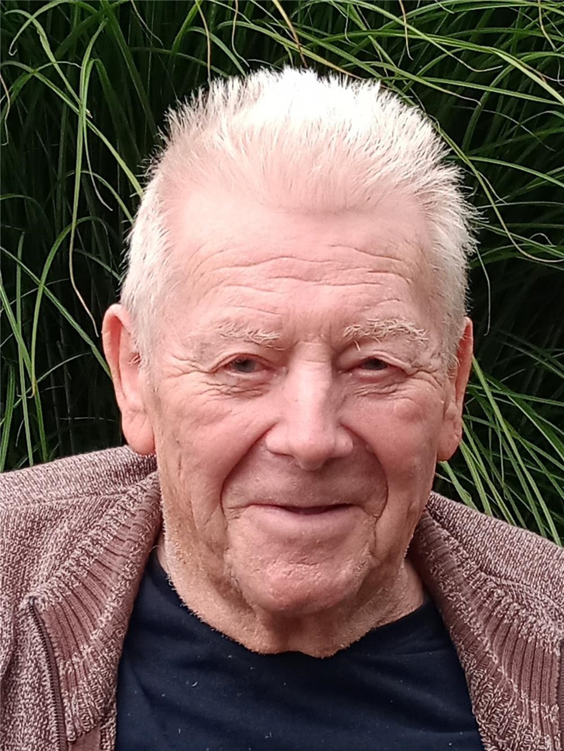 Rolf Metz